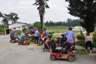 정해원.님의 기타작물 · 영농일지 작성글 사진