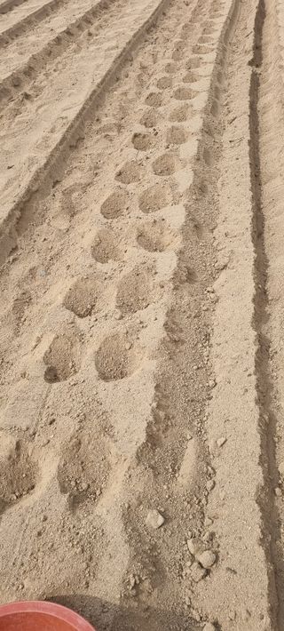 박사원농장님의 기타작물 · 영농일지 작성글 사진