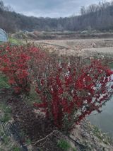 팜모닝 기타작물·영농일지 게시글 이미지