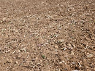 김주희님의 기타작물 · 영농일지 작성글 사진