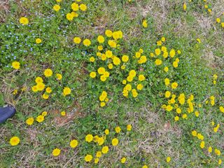 박수천님의 기타작물 · 영농일지 작성글 사진