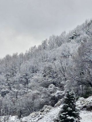 정상붕님의 기타작물 · 영농일지 작성글 사진