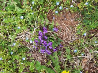 박수천님의 기타작물 · 영농일지 작성글 사진