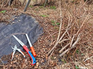 황인근님의 블루베리 · 영농일지 작성글 사진