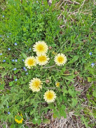 박수천님의 기타작물 · 영농일지 작성글 사진