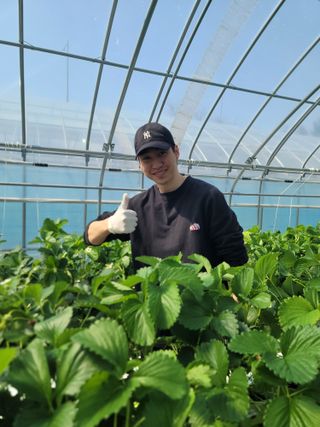 장인호님의 딸기 · 영농일지 작성글 사진