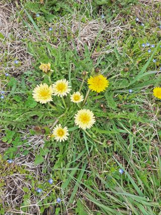 박수천님의 기타작물 · 영농일지 작성글 사진