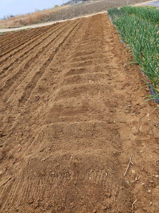 이주연님의 기타작물 · 영농일지 작성글 사진