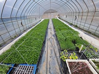 김주희님의 기타작물 · 영농일지 작성글 사진