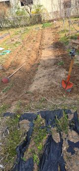 팜모닝 기타작물·영농일지 게시글 이미지