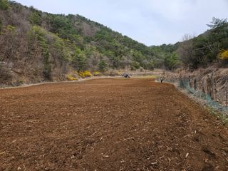 김주희님의 기타작물 · 영농일지 작성글 사진