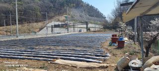 무봉농장(기북)님의 기타작물 · 영농일지 작성글 사진