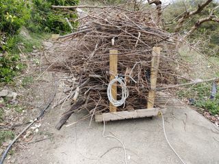 단감당감님의 감 · 영농일지 작성글 사진