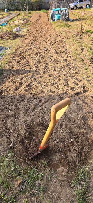 돌복숭아님의 기타작물 · 영농일지 작성글 사진