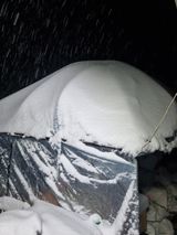 팜모닝 기타작물·영농일지 게시글 이미지