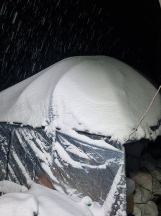 장순구님의 기타작물 · 영농일지 작성글 사진