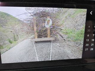 단감당감님의 감 · 영농일지 작성글 사진