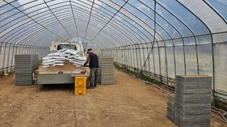 김호님의 기타작물 · 영농일지 작성글 사진