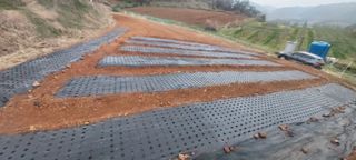 도라지 꽃님의 기타작물 · 영농일지 작성글 사진