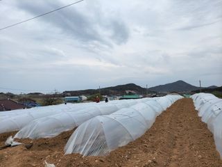 석승인님의 기타작물 · 영농일지 작성글 사진