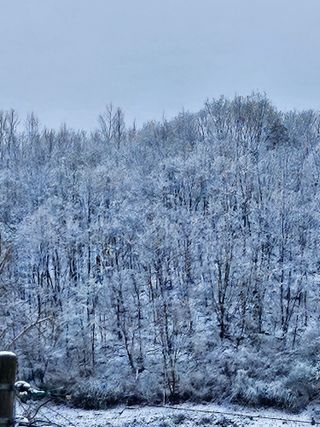 정상붕님의 기타작물 · 영농일지 작성글 사진