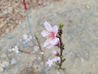 김홍중님의 기타작물 · 영농일지 작성글 사진