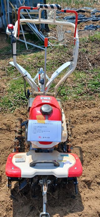 손성금님의 고추 · 영농일지 작성글 사진