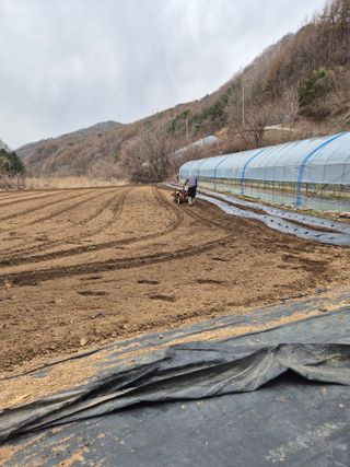 왕자농원님의 기타작물 · 영농일지 작성글 사진