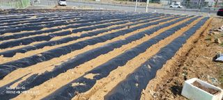 무봉농장(기북)님의 기타작물 · 영농일지 작성글 사진