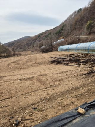 왕자농원님의 기타작물 · 영농일지 작성글 사진