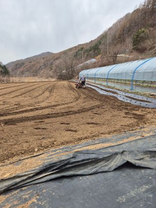 왕자농원님의 기타작물 · 영농일지 작성글 사진