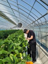 팜모닝 딸기·영농일지 게시글 이미지