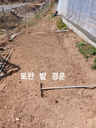 안승호님의 기타작물 · 영농일지 작성글 사진