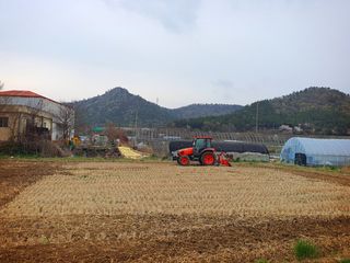 오이8898황산면님의 벼 · 영농일지 작성글 사진