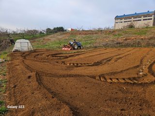 흥부네땅님의 기타작물 · 영농일지 작성글 사진