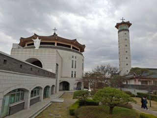 윤영숙소화데레사님의 기타작물 · 영농일지 작성글 사진