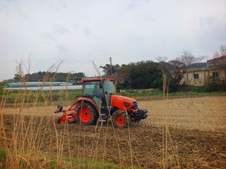 오이8898황산면님의 벼 · 영농일지 작성글 사진