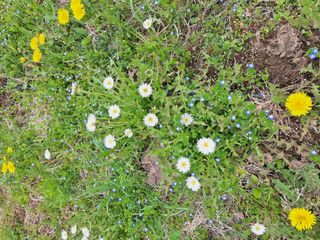 박수천님의 기타작물 · 영농일지 작성글 사진