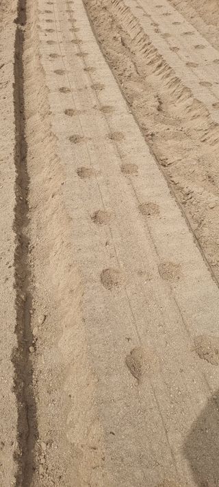 박사원농장님의 기타작물 · 영농일지 작성글 사진