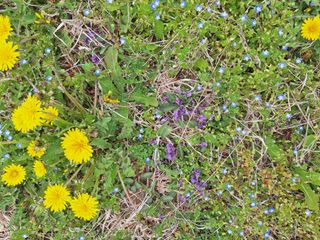 박수천님의 기타작물 · 영농일지 작성글 사진