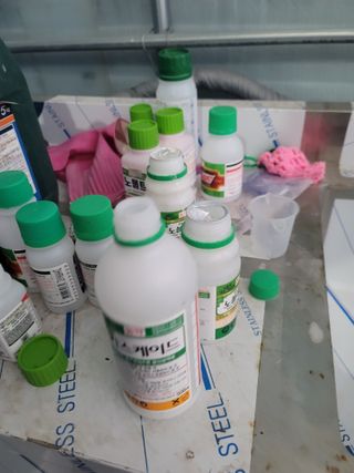 장인호님의 딸기 · 영농일지 작성글 사진