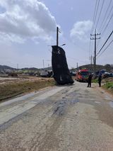 팜모닝 기타작물·영농일지 게시글 이미지