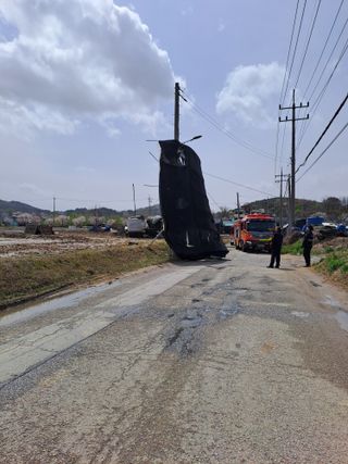 윤은성님의 기타작물 · 영농일지 작성글 사진