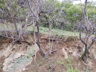 단감당감님의 감 · 영농일지 작성글 사진