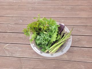 김정은님의 기타작물 · 영농일지 작성글 사진