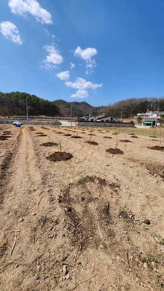 김종순.방재단장님의 기타작물 · 영농일지 작성글 사진