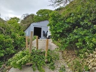 단감당감님의 감 · 영농일지 작성글 사진