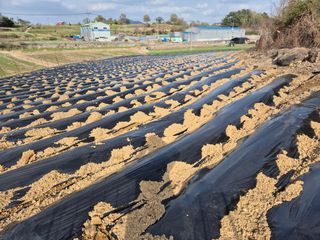착한농부 안병하님의 기타작물 · 영농일지 작성글 사진