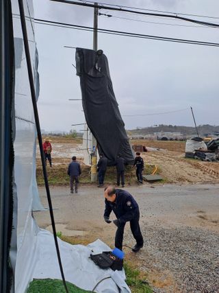 윤은성님의 기타작물 · 영농일지 작성글 사진
