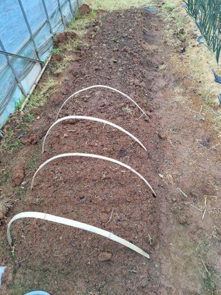 정희군님의 기타작물 · 영농일지 작성글 사진